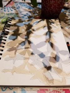 Christmas Cactus Shadows Process, 2020