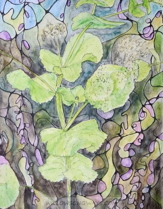 Neurographic Perfoliate Alexander – Now That’s a Mouthful!