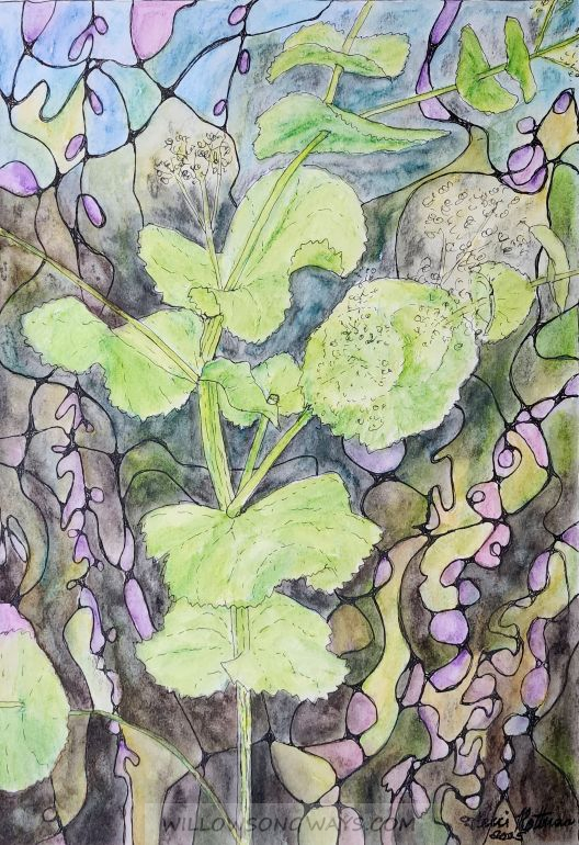 Neurographic Perfoliate Alexander – Now That’s a Mouthful!