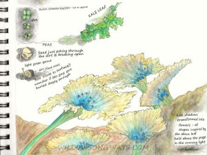 Kale Shadow Flowers, 2021 Nature journal drawing of shadows from kale plants turned into flowers