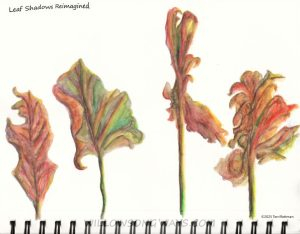 Terri-Rottman-NJ-Leaf-Shadows-Reimagined-2025-Watercolor-Pencil-770px Nature journal drawing of shadows from leaves propped up in spiral turned into leaves