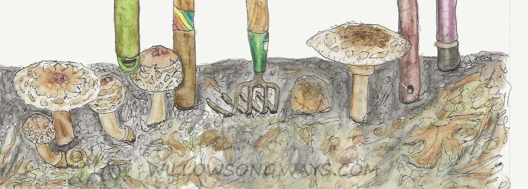 More About Mushrooms (and Other Things)