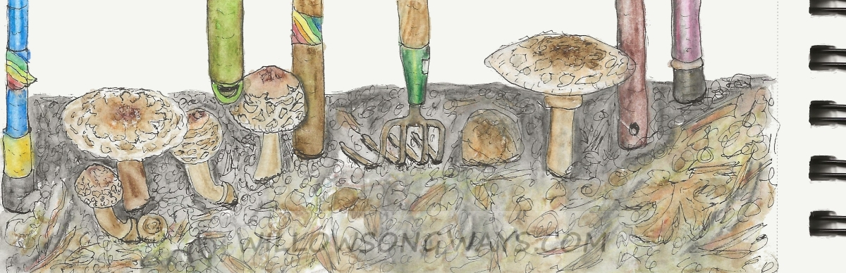 More About Mushrooms (and Other Things)