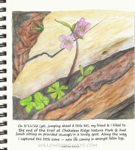 Log With New Life, 2022